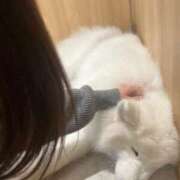 ヒメ日記 2026/04/22 17:15 投稿 えれん【清楚系ギャル】 STELLA TOKYO－ステラトウキョウ－