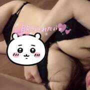 ヒメ日記 2025/07/19 01:13 投稿 ちよ 奥様なでしこ