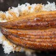 ヒメ日記 2025/07/19 23:21 投稿 しゅり 日暮里・西日暮里サンキュー