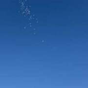 まお こんばんは🌙 ギン妻パラダイス 堺東店