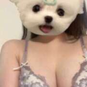 ヒメ日記 2025/08/04 07:37 投稿 つき チューリップ姫路店