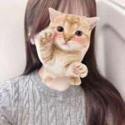 ヒメ日記 2026/01/25 14:20 投稿 【S】りん E+五反田