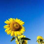 ヒメ日記 2025/07/18 21:48 投稿 山岸　この葉 30・40・50代☆人妻熟女コレクション