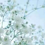 ヒメ日記 2025/07/24 11:32 投稿 山岸　この葉 30・40・50代☆人妻熟女コレクション