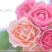 ヒメ日記 2025/07/25 00:55 投稿 山岸　この葉 30・40・50代☆人妻熟女コレクション