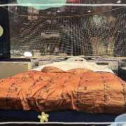 ヒメ日記 2025/08/03 21:09 投稿 山岸　この葉 30・40・50代☆人妻熟女コレクション