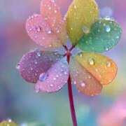 ヒメ日記 2025/09/02 20:15 投稿 山岸　この葉 30・40・50代☆人妻熟女コレクション