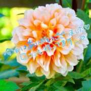 ヒメ日記 2025/09/15 21:10 投稿 山岸　この葉 30・40・50代☆人妻熟女コレクション