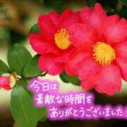 ヒメ日記 2025/10/18 00:21 投稿 山岸　この葉 30・40・50代☆人妻熟女コレクション