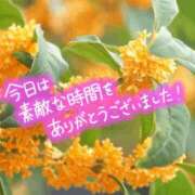 ヒメ日記 2025/10/18 00:40 投稿 山岸　この葉 30・40・50代☆人妻熟女コレクション