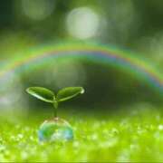 ヒメ日記 2025/10/19 21:06 投稿 山岸　この葉 30・40・50代☆人妻熟女コレクション