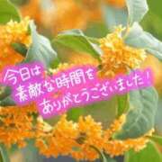 ヒメ日記 2025/10/20 20:07 投稿 山岸　この葉 30・40・50代☆人妻熟女コレクション
