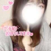 ヒメ日記 2025/07/27 10:15 投稿 洞口あんじゅ スタイリッシュ秘書