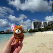 ヒメ日記 2026/02/17 16:10 投稿 穂乃果【ホノカ】 輝女