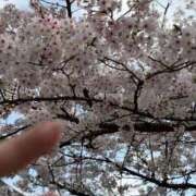 ヒメ日記 2026/04/06 21:10 投稿 穂乃果【ホノカ】 輝女