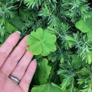 広瀬 ラッキーな日 琥珀(渋谷)