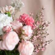 ヒメ日記 2025/08/14 01:54 投稿 渚穂(ナホ) グランドオペラ名古屋