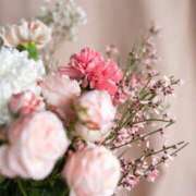 ヒメ日記 2025/08/17 03:39 投稿 渚穂(ナホ) グランドオペラ名古屋