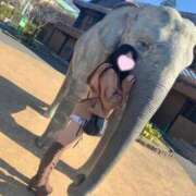 ヒメ日記 2025/07/22 16:37 投稿 かすみ Gossip girl