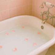 ヒメ日記 2025/11/16 01:07 投稿 紬★ Club夢