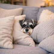 ヒメ日記 2026/02/04 06:15 投稿 紬★ Club夢