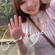 ヒメ日記 2025/09/20 16:37 投稿 みその 木更津人妻花壇