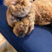 ヒメ日記 2025/09/01 15:26 投稿 高城 熟女の風俗最終章 新横浜店