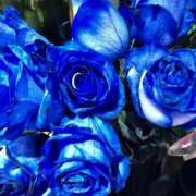 ヒメ日記 2025/10/03 16:26 投稿 高城 熟女の風俗最終章 新横浜店