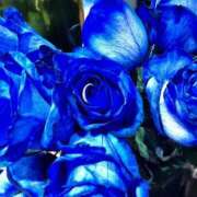 高城 出勤しました。 熟女の風俗最終章 新横浜店