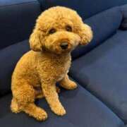 ヒメ日記 2026/02/05 19:41 投稿 高城 熟女の風俗最終章 新横浜店