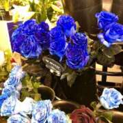 ヒメ日記 2026/02/16 19:28 投稿 高城 熟女の風俗最終章 新横浜店