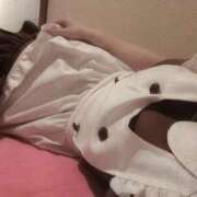 ヒメ日記 2025/10/08 22:13 投稿 きあら ジャパンクラブ富士