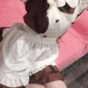 ヒメ日記 2025/10/27 17:03 投稿 きあら ジャパンクラブ富士