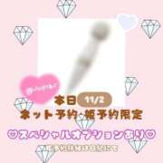 ヒメ日記 2025/11/02 00:24 投稿 きあら ジャパンクラブ富士