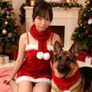 ヒメ日記 2025/12/24 07:12 投稿 きあら ジャパンクラブ富士