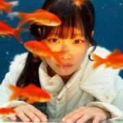 ヒメ日記 2025/12/29 14:12 投稿 きあら ジャパンクラブ富士