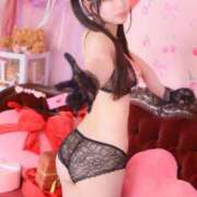 ヒメ日記 2026/01/31 09:35 投稿 きあら ジャパンクラブ富士