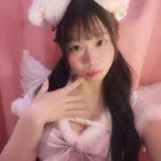 ヒメ日記 2026/02/13 21:12 投稿 きあら ジャパンクラブ富士