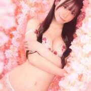 ヒメ日記 2026/03/03 12:01 投稿 きあら ジャパンクラブ富士