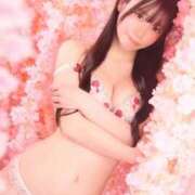 ヒメ日記 2026/03/16 22:52 投稿 きあら ジャパンクラブ富士