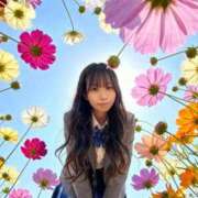 ヒメ日記 2026/03/17 00:12 投稿 きあら ジャパンクラブ富士