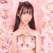 ヒメ日記 2026/04/02 15:52 投稿 きあら ジャパンクラブ富士