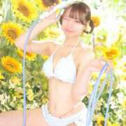 ヒメ日記 2026/08/04 07:42 投稿 きあら ジャパンクラブ富士
