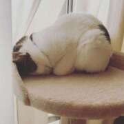 あきほ ほんとごめん。 横浜泡洗体デラックスエステ