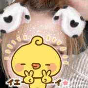 みすず 本日体験入店🎶✨ FResh(素人・可愛い)都城店