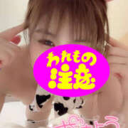 ヒメ日記 2025/08/28 06:00 投稿 体験入店【いちか】 脱がされたい人妻 春日部店