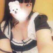 ヒメ日記 2025/11/01 08:14 投稿 千尋（ちひろ） ビッグバード