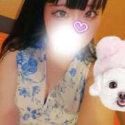 ヒメ日記 2025/12/17 12:34 投稿 千尋（ちひろ） ビッグバード