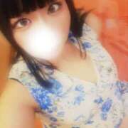 ヒメ日記 2025/12/29 08:14 投稿 千尋（ちひろ） ビッグバード