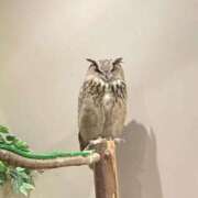 ヒメ日記 2026/01/24 07:41 投稿 千尋（ちひろ） ビッグバード